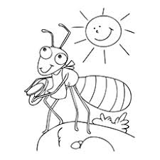 Kids can color these for fun or teachers can use them as part of learning all about ants. Top 25 Free Printable Ants Coloring Pages Online