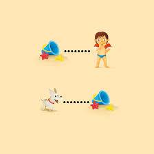 Check spelling or type a new query. Puzzle Beach Smartgames