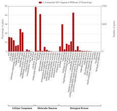 All research assistant jobs in kenya on careerjet.co.ke, the search engine for jobs in kenya. Insight Into Plant Cell Wall Degradation And Pathogenesis Of Ganoderma Boninense Via Comparative Genome Analysis Peerj