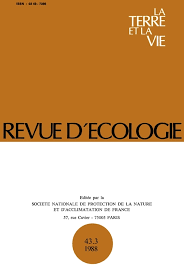 Image result for Lepidotrichilia volkensii