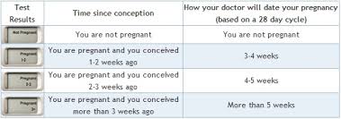 clearblue digital pregnancy test with weeks indicator zoom