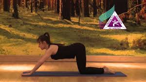 The cat stretch is exactly like what it sounds like because it mimics how a cat would stretch. Yoga Anahata Asana Full Cat Stretch Or Heart Pose Youtube