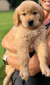 Jamie Pennell's Instagram, Twitter & Facebook