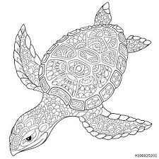 The spruce / kelly miller halloween coloring pages can be fun for younger kids, older kids, and even adults. Mandela Turtle Coloring Pages Coloring Pages Ideas