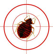 Watch a short video on how lady bug started and the crusade to change the perception of pest control. Heat Treatment For Bed Bugs What To Look Out For And What To Avoid At All Costs Pest Professionals