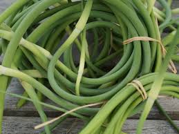 Simply cut the garlic scapes. What S The Difference Green Garlic And Garlic Scapes Kitchn