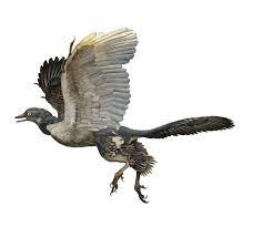 Check spelling or type a new query. Birds Really Are Dinosaurs Explained