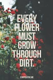 Let these quotes for tough times remind you of how strong you are, even in times of 100 tough times quotes. Chat Life Hacks For Coping With Tough Times Reachout Forums 106283