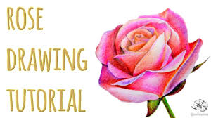 Robin gan is a graphic designer and an excellent hyper realistic artist. 45 Beautiful Flower Drawings And Realistic Color Pencil Drawings Paintings Coloriage Crayon Cute766