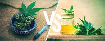 Making rick simpson oil is quite easy however, it requires a large amount of cannabis and a great deal of care. The Difference Between Cbd Oil And Rick Simpson Oil Zamnesia