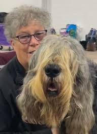 🐾WHIXALL COMPANION DOG SHOW 🐾