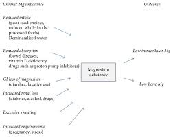 The Importance Of Magnesium In Clinical Healthcare Abstract Europe Pmc