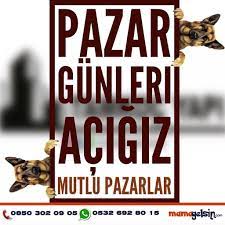 canlarimiz magdur olmasin mamasiz kalmasin diye pazar gunleri de acigiz 05326928015 08503020905 mamagelsin alomama balcova narli guzel bahceler