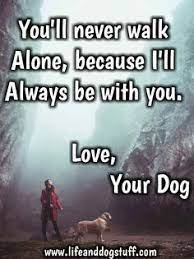 Blessed are those who have loving pets in the lives and so you are, as you have the most loving dog who eagerly waits for. 100 National Pet Day Ideas In 2021 National Pet Day Pet Day Animal Quotes