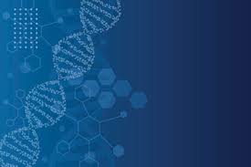 Image result for Blue 1996 AAV