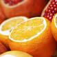 Essentials of Immune Health — Aspen Health  event image