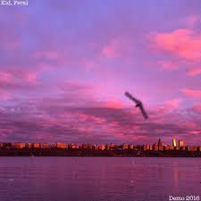 Purple guy simulator, a game centered around the purple guy. Kid Feral Like It Or Not We Re The Only Game In Town Lyrics Genius Lyrics