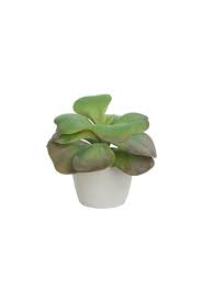 Sublime succulents may collect a share of sales or other compensation from the links on this page. Artificial Succulent Arrangement E Artificial Plants