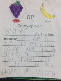 It is a luscious and delicious fruit. My Favourite Fruit Essay For Class 5