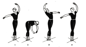 Vaganova 5th Port De Bras Ballet Danca Bale