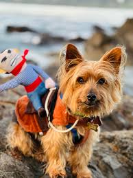 What do these blood test results mean?