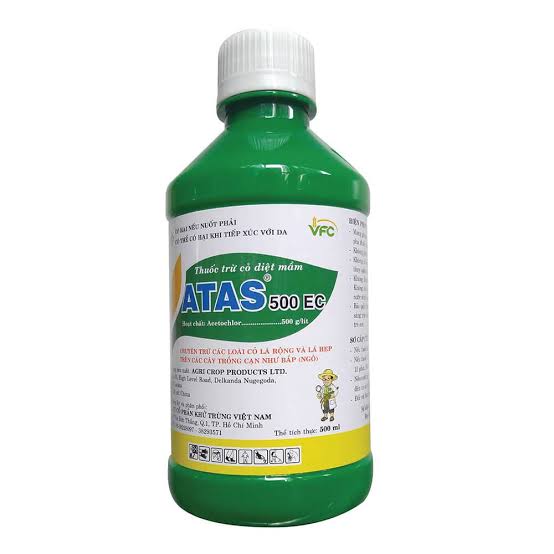 Atas 500EC