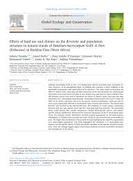 Image result for Ancylobothrys amoena