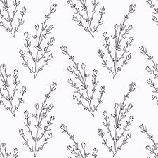 I dowst owneth boku no hero academia, all rights go to thyn. Main Dessinee Branche De Thym Apercu De Pattern Doodle Dessin Herbes Epicees Cuisine Fond Tire Par La Main Assaisonnement Vector Illustration Clip Art Libres De Droits Vecteurs Et Illustration Image 47519272