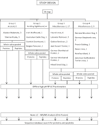 Flow Chart Summarizing The Study Design Download