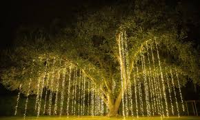 Trendy globe string lights outdoor hanging from trees in, best ever backyard lighting string lights yard envy how to hang outdoor string lights from diy posts hgtv. 10 Best Solar String Lights 2021 Led Solar Outdoor String Lights