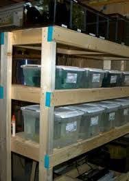 Image Result For 2x4 Aquarium Shelf Fish Breeding Fish Tank Fishing Room