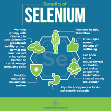 Selenium Reduces Thyroid Antibodies Dr Izabella Wentz
