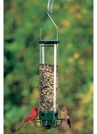 49 coupons, promo codes, & deals at duncraft wild bird superstore + earn 10% cash back with giving assistant. Homepage The Bird Store