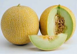 Melon adalah tanaman merambat tahunan tropis dengan batang panjang dan menyebar yang menempel melalui sulaman kenyal. Manfaat Buah Melon Untuk Kesehatan Merahputih