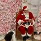 Tea Time with Santa Claus
