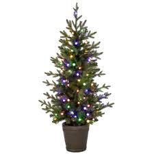 Christmas Trees Are 40 Off At Hobby Lobby Right Now Shop for 9ft prelit christmas tree at bed bath & beyond. christmas trees are 40 off at hobby