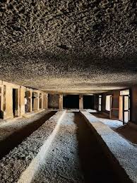 Mumbai: Kanheri Caves Guided Tour