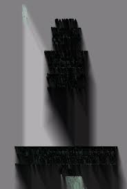 Image result for Tragia lasiophylla