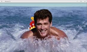 David hasselhoff comes to the rescue.buy the movie: Angelworks On Twitter As They Ride David Hasselhoff Dennis Comes Back To Live And Tries To Kill The Duo And Then Gets Killed For Real This Time Https T Co 47cckremic