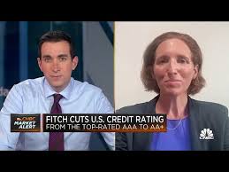 Fitch 'vying for credibility' with U.S. rating downgrade, says Moneta CIO Aoifinn  Devitt