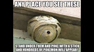 Image Result For Memes Clean Clean Funny Memes Clean Memes Funny Grumpy Cat Memes