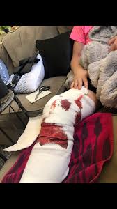 Gage Beebe (@gagebb99)