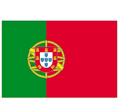 The lesser version of the national coat of arms (armillary sphere and portuguese shield). Flag Portugalii Eps Uidownload