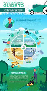 Lawn Care 101: Your Seasonal Guide To Lawn Care & Maintenance