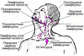 Zervikale Lymphknoten Wo Sie Sind Was Sind Lymphknoten