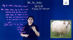 It is present as a thick coat of hair on the body of certain animals and keeps them warm. Fibre To Fabric Wool Sources Classification Hazards Videos