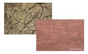 Di indonesia, terdapat berbagai macam jenis tanah. Jenis Jenis Tanah Di Indonesia Beserta Ciri Cirinya