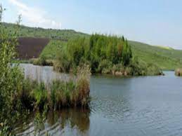 .nada, pescuit sportiv, competitii de pescuit, concursuri pescuit, pescuit pe balta, lac de pescuit, pescarie, pescaresc, balti de pescuit cluj0264.433.552 / 0744.613.580 situat pe valea fizesului in comuna taga, sat taga, judetul cluj, la aproximativ 50 km de cluj napoca si 67 km de targu mures. Balti In Mures Pescar Informat