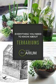 Terrarium Complete Care Guide How To Build Bantam Earth Plants Terrarium Plants Garden Terrarium