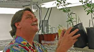 10 Reasons Why Florida Citrus Will Survive HLB